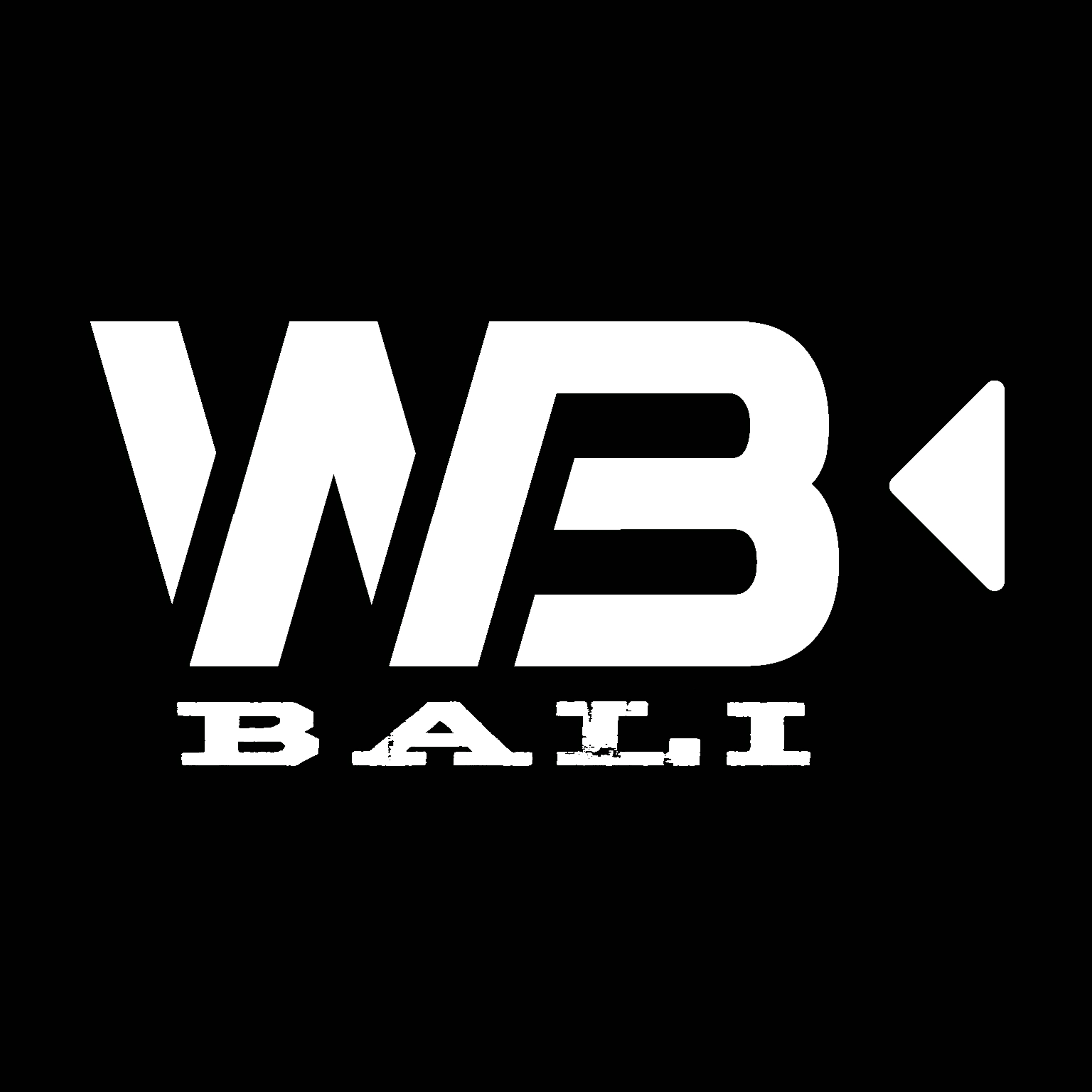 Website Logo